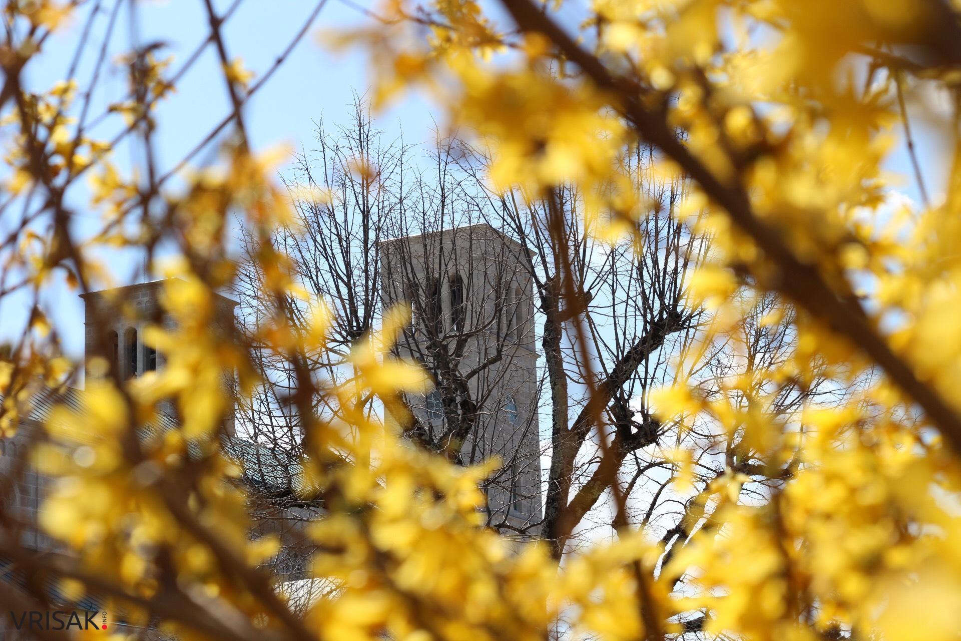 Širokobriješka kamena ljepotica!