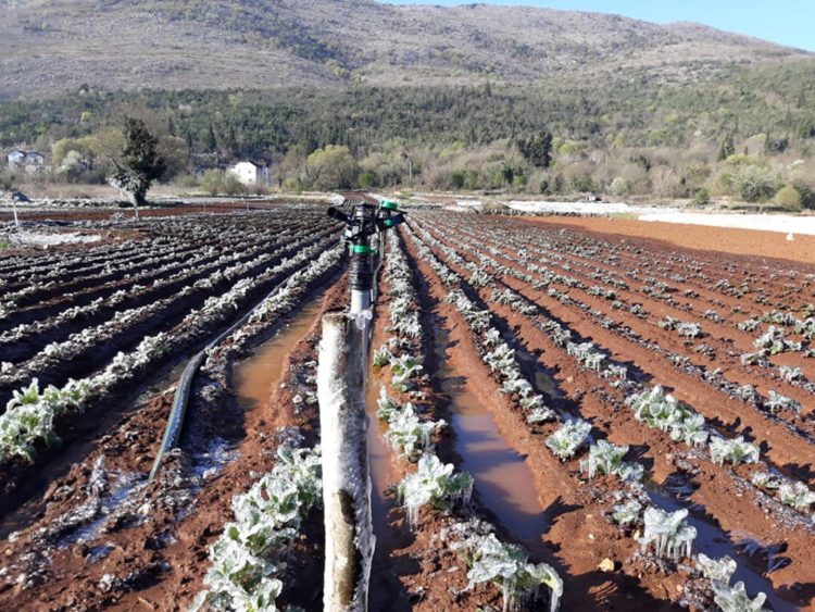 Ljubuški: Županijska i gradska vlast pomoći će poljodjelcima
