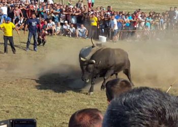 Odgođena i dugo očekivana korida u Posušju