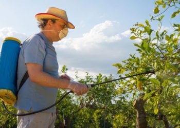 Zavod za poljoprivredu ŽZH: Obavite preventivnu zaštitu nasada jabuke i kruške