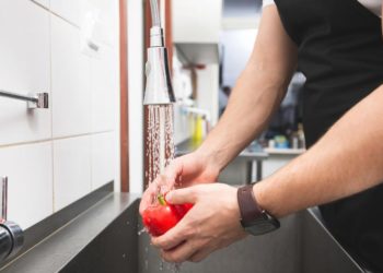 Stručnjaci: Evo zašto hranu ne biste trebali prati sa sapunom