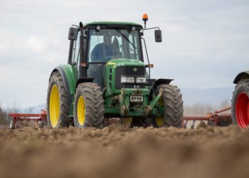 U Hercegovini ove godine očekuju urod od 1500 tona rajčice i 700 tona paprike