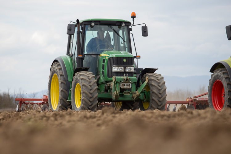 U Hercegovini ove godine očekuju urod od 1500 tona rajčice i 700 tona paprike