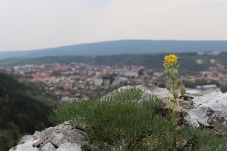 Sunce sja, pada snijeg, u meni samo Široki Brijeg