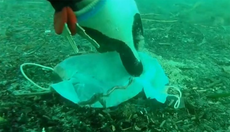 Zaštitne maske i rukavice na dnu Sredozemnog mora