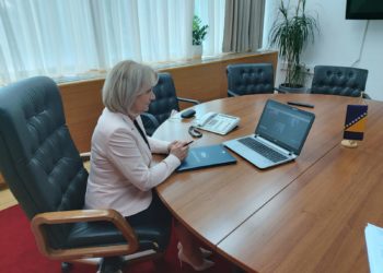 Borjana Krišto sudjelovala na video – sastanku Odbora za politička pitanja i demokraciju Parlamentarne skupštine Vijeća Europe