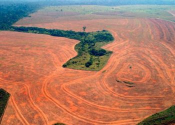 Znanstvenici upozoravaju: Prijeti nam nova pandemija