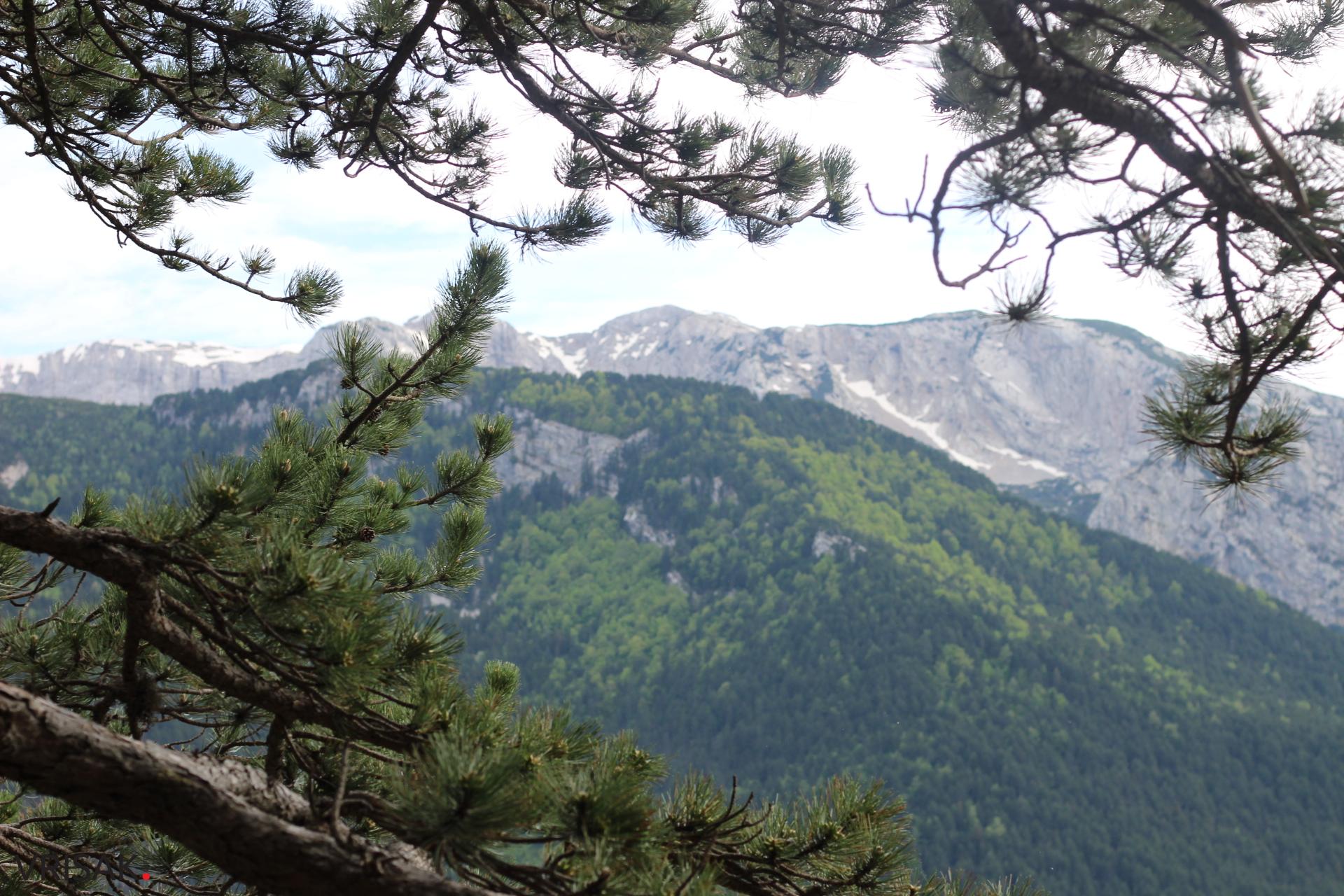 FOTO: Blidinje – odmor za oči i dušu