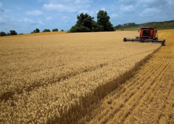 Zbog pandemije koronavirusa nestašica ‘žute nafte’