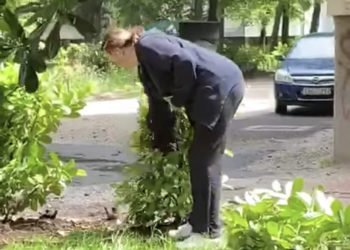 Mostar: Ovako se uništavaju sadnice na javnim površinama(VIDEO)