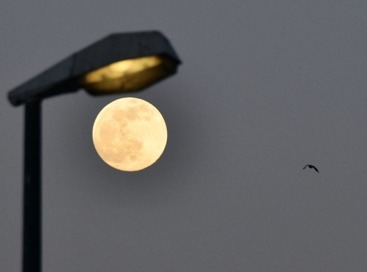 Sutra će se na nebu ukazati ‘Cvjetni Mjesec’