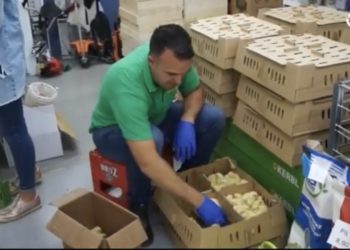 Široki Brijeg: Besplatno podijeljeno 4000 pilića