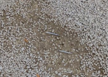 Ljubuški: Šprice u parku u kojem se djeca svakodnevno igraju