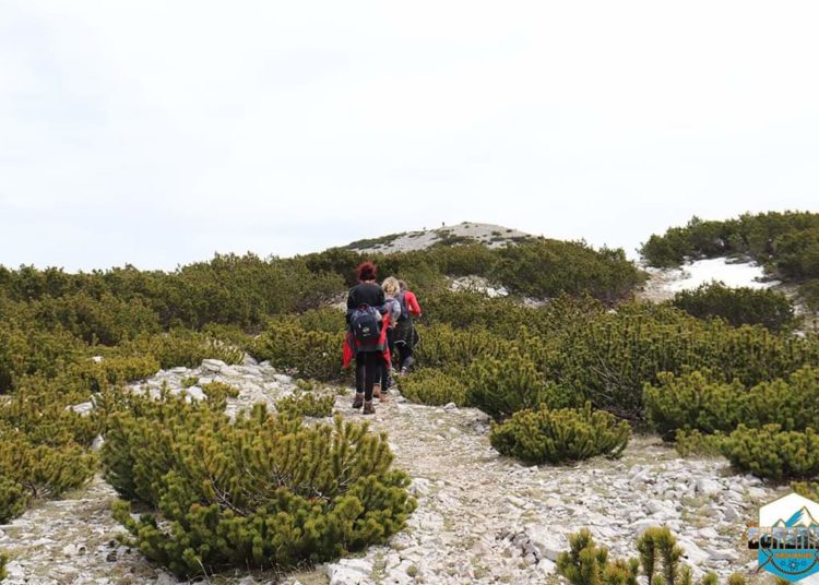 Pogledajte prekrasne fotografije HPD-a Čvrsnica s istoimene planine