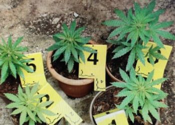 Ljubuški: Pretres kuće, okućnice i pratećih objekata