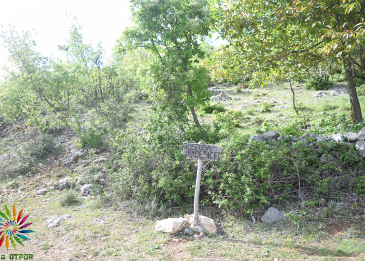 (Ne)taknuta priroda mjesta Radešice na području Gornjeg Graca!