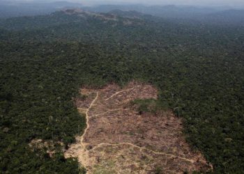 Brazil šalje vojsku radi zaštite Amazonije