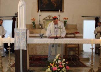 Pandemija koronavirusa probudila nas je iz opasnosti u koje je čovječanstvo upalo