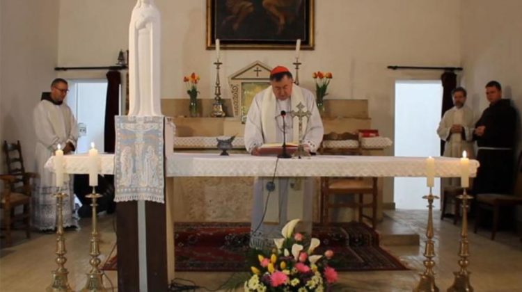 Pandemija koronavirusa probudila nas je iz opasnosti u koje je čovječanstvo upalo