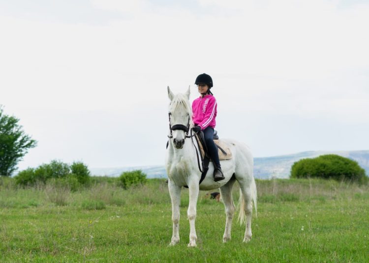Konjički klub Stina iz Sovića krase lijepe priče i prizori, a dio njih su podijelili u razgovoru za Vrisak.info