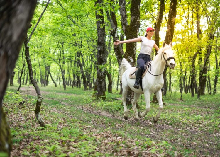 Konjički klub Stina iz Sovića krase lijepe priče i prizori, a dio njih su podijelili u razgovoru za Vrisak.info