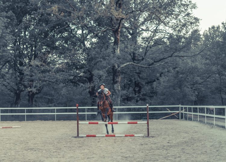 Konjički klub Stina iz Sovića krase lijepe priče i prizori, a dio njih su podijelili u razgovoru za Vrisak.info