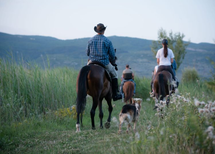 Konjički klub Stina iz Sovića krase lijepe priče i prizori, a dio njih su podijelili u razgovoru za Vrisak.info