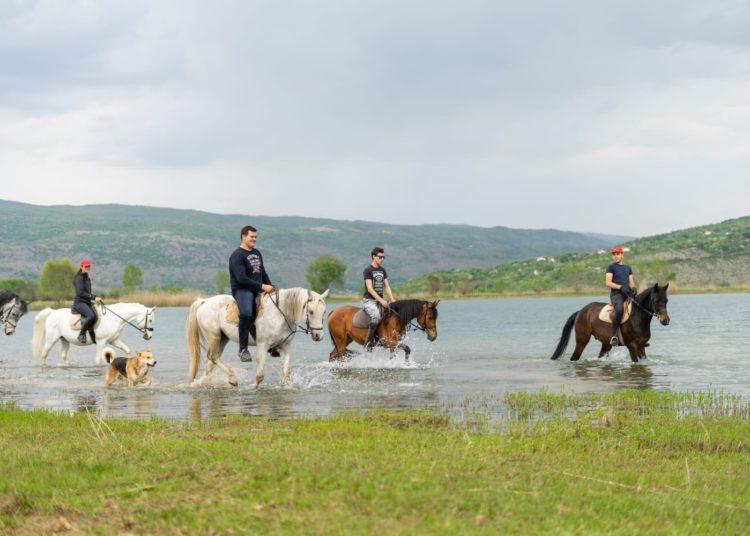 Konjički klub Stina iz Sovića krase lijepe priče i prizori, a dio njih su podijelili u razgovoru za Vrisak.info