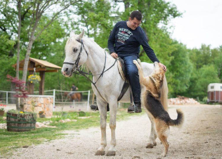 Konjički klub Stina iz Sovića krase lijepe priče i prizori, a dio njih su podijelili u razgovoru za Vrisak.info