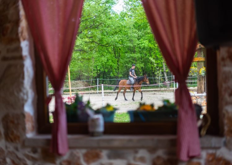 Konjički klub Stina iz Sovića krase lijepe priče i prizori, a dio njih su podijelili u razgovoru za Vrisak.info