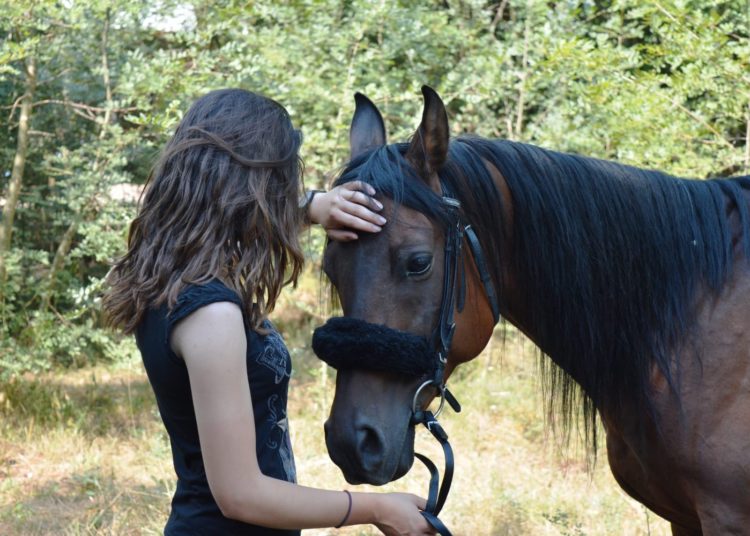 Konjički klub Stina iz Sovića krase lijepe priče i prizori, a dio njih su podijelili u razgovoru za Vrisak.info