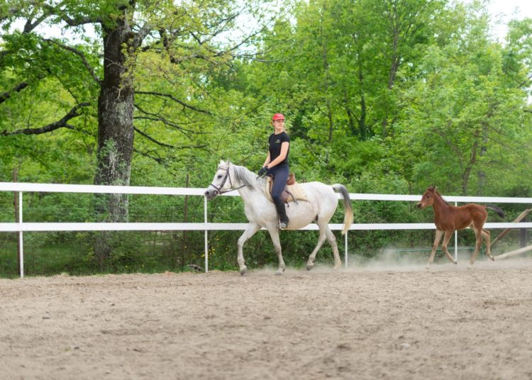 Konjički klub Stina iz Sovića krase lijepe priče i prizori, a dio njih su podijelili u razgovoru za Vrisak.info