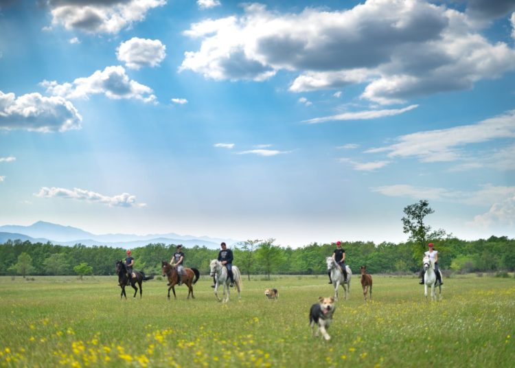 Konjički klub Stina iz Sovića krase lijepe priče i prizori, a dio njih su podijelili u razgovoru za Vrisak.info
