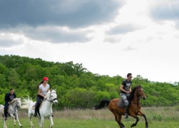 Konjički klub Stina iz Sovića krase lijepe priče i prizori, a dio njih su podijelili u razgovoru za Vrisak.info