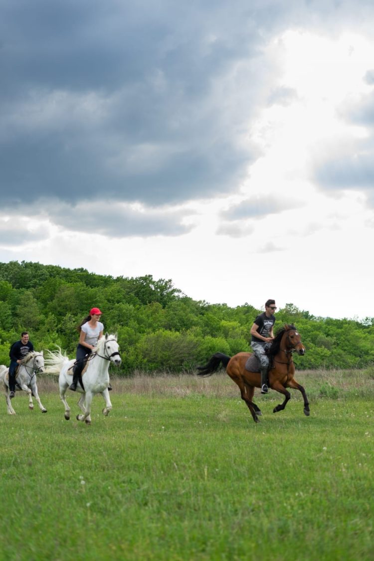 Konjički klub Stina iz Sovića krase lijepe priče i prizori, a dio njih su podijelili u razgovoru za Vrisak.info