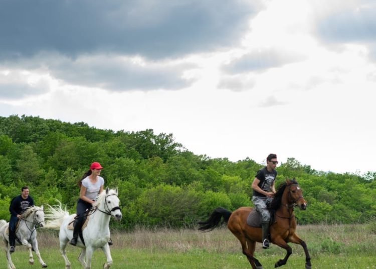 Konjički klub Stina iz Sovića krase lijepe priče i prizori, a dio njih su podijelili u razgovoru za Vrisak.info