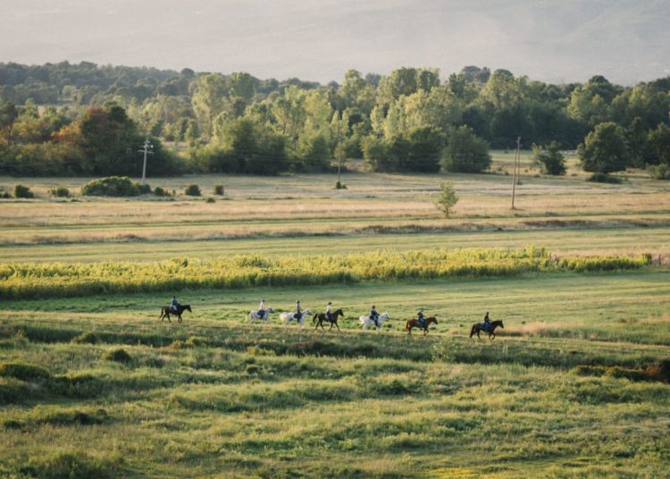Konjički klub Stina iz Sovića krase lijepe priče i prizori, a dio njih su podijelili u razgovoru za Vrisak.info