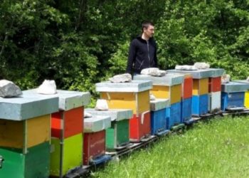 Koronavirus nije previše utjecao na proizvodnju meda u ŽZH