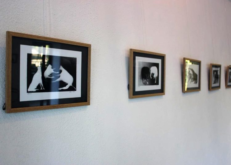 U galeriji Vrba u Širokom Brijegu otvorena je 11. samostalna izložba “Akt života” akademskog grafičara Vilima Parića