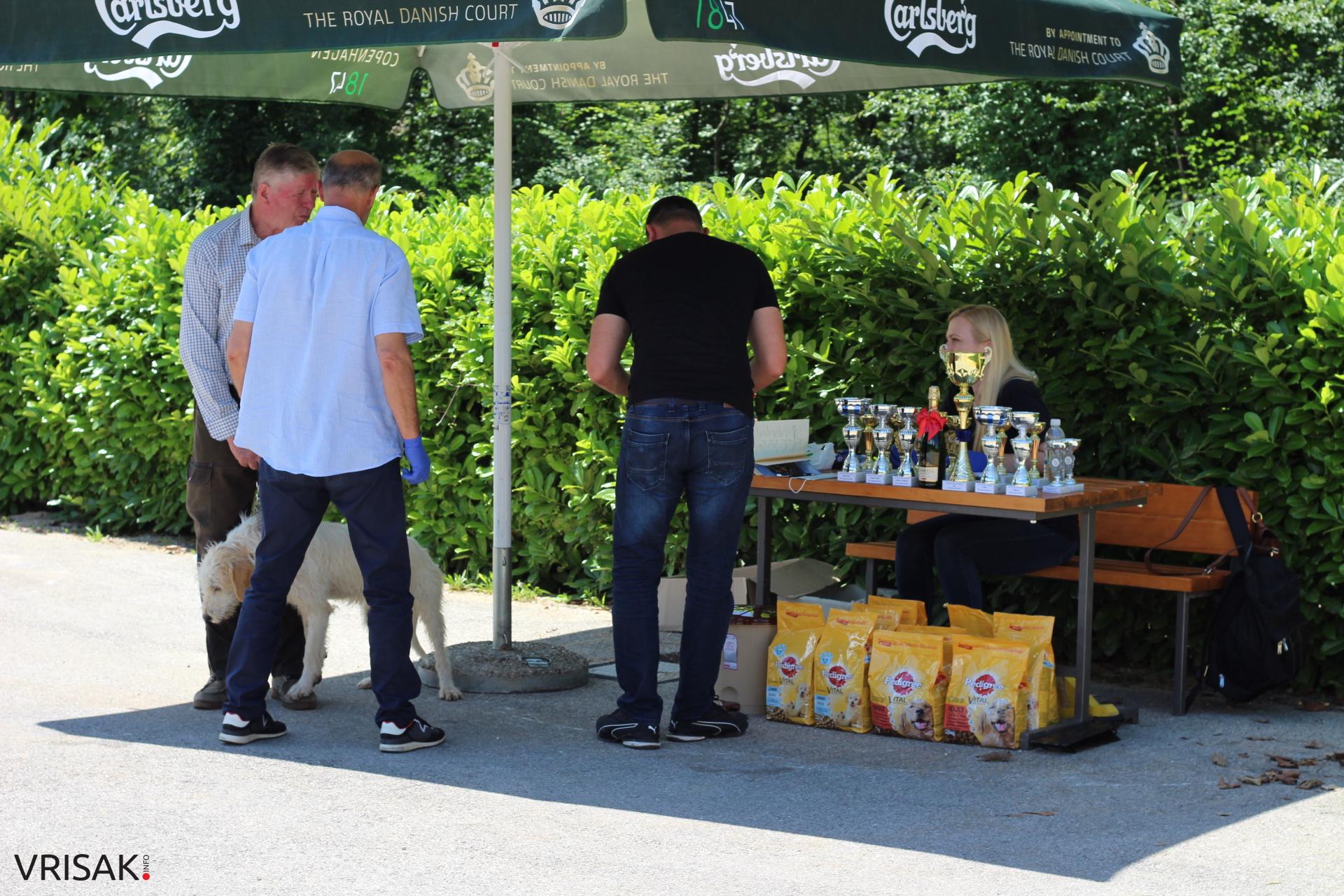 FOTO: Održana revija pasa u Širokom Brijegu