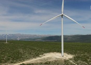 Milenko Bašić: ‘Jadan ti je onaj tko investira u Hrvatsku‘