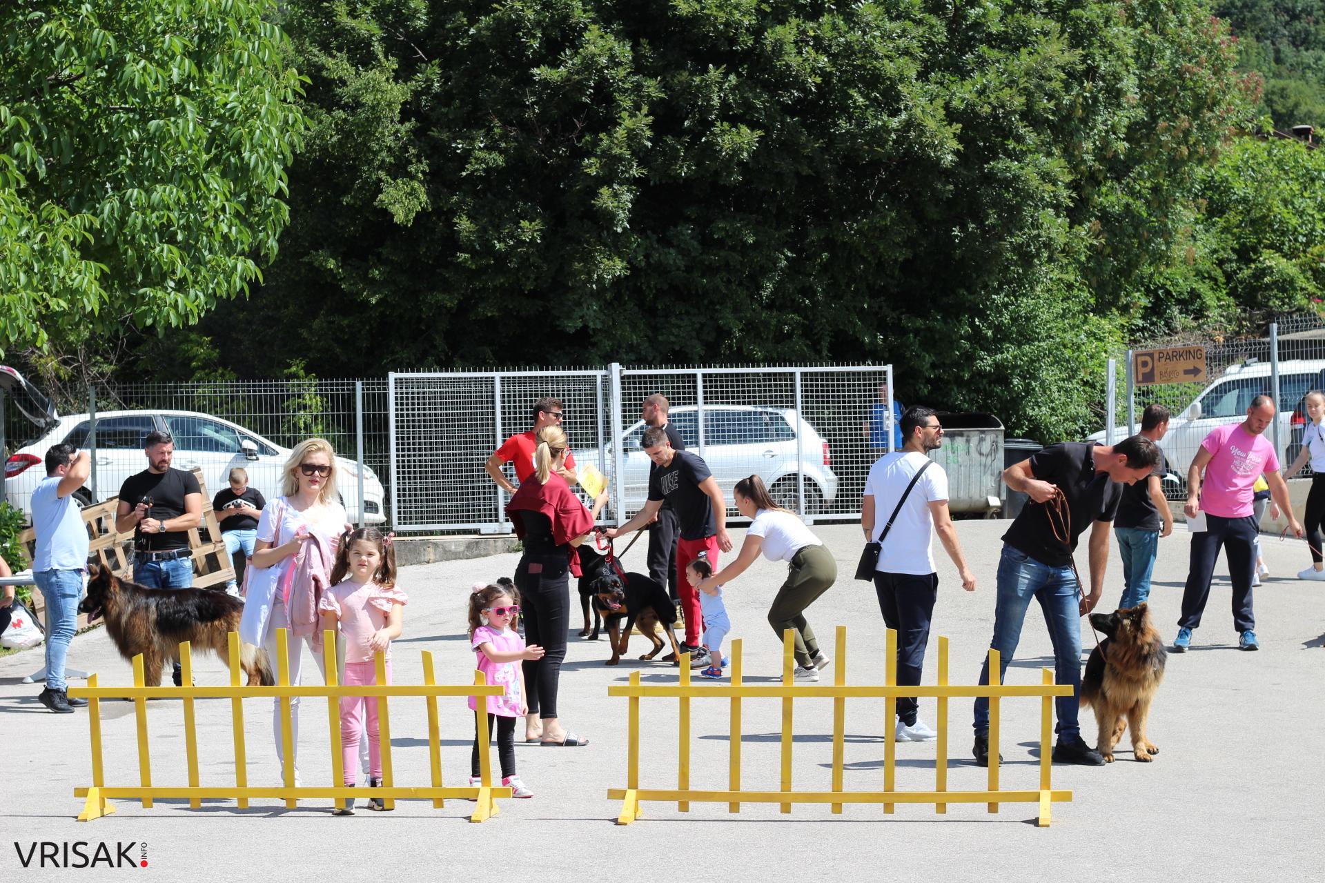 FOTO: Održana revija pasa u Širokom Brijegu