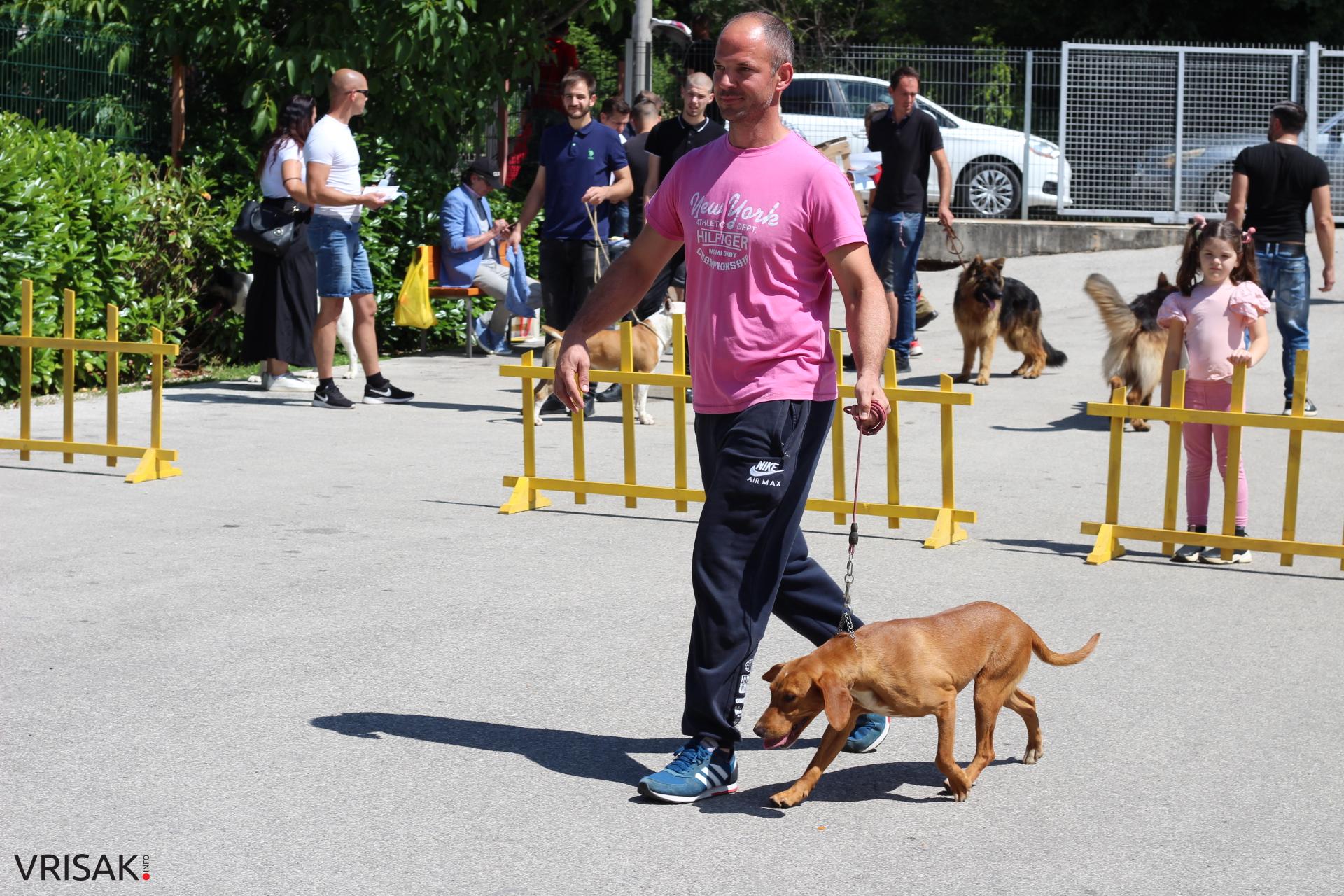 FOTO: Održana revija pasa u Širokom Brijegu