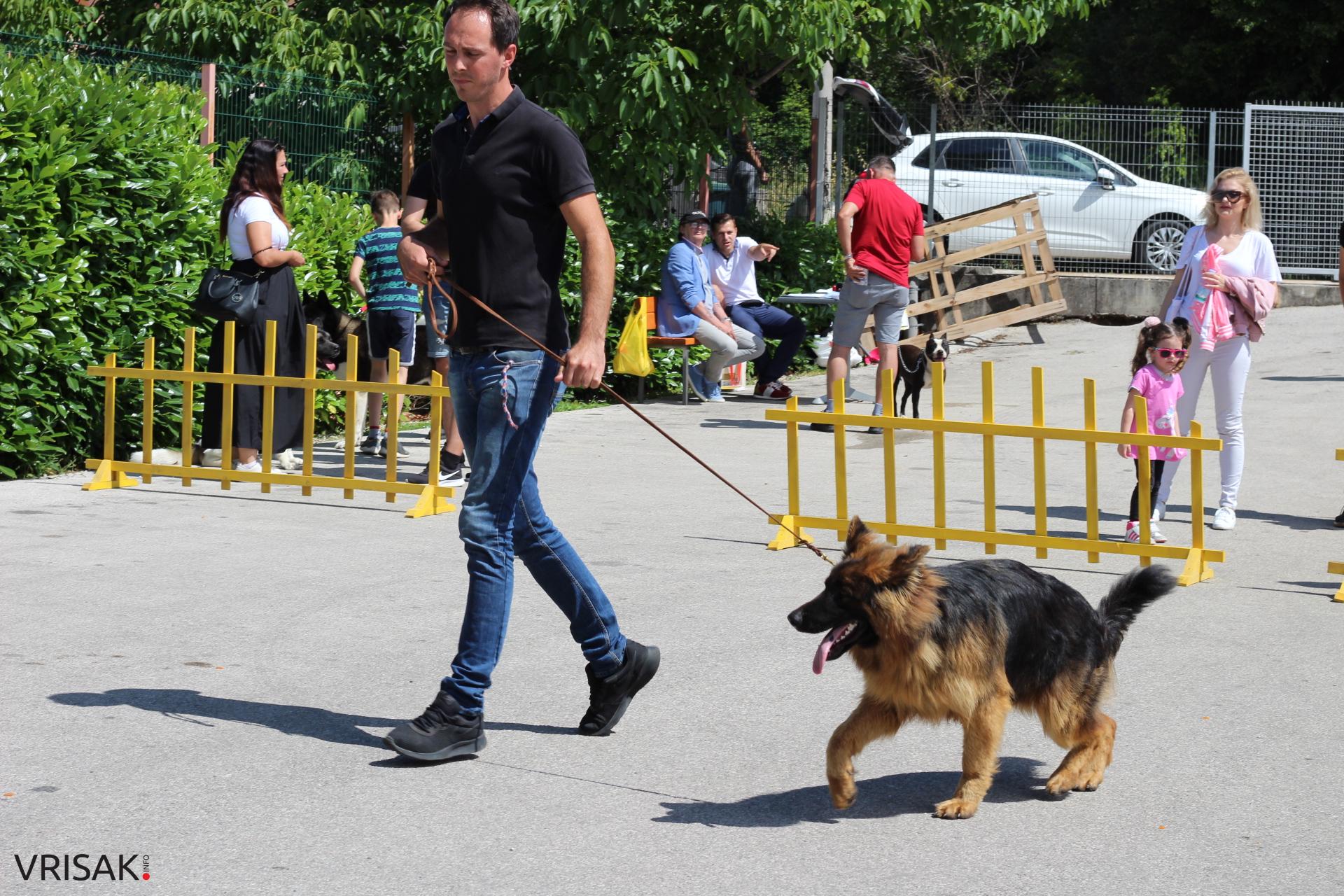 FOTO: Održana revija pasa u Širokom Brijegu