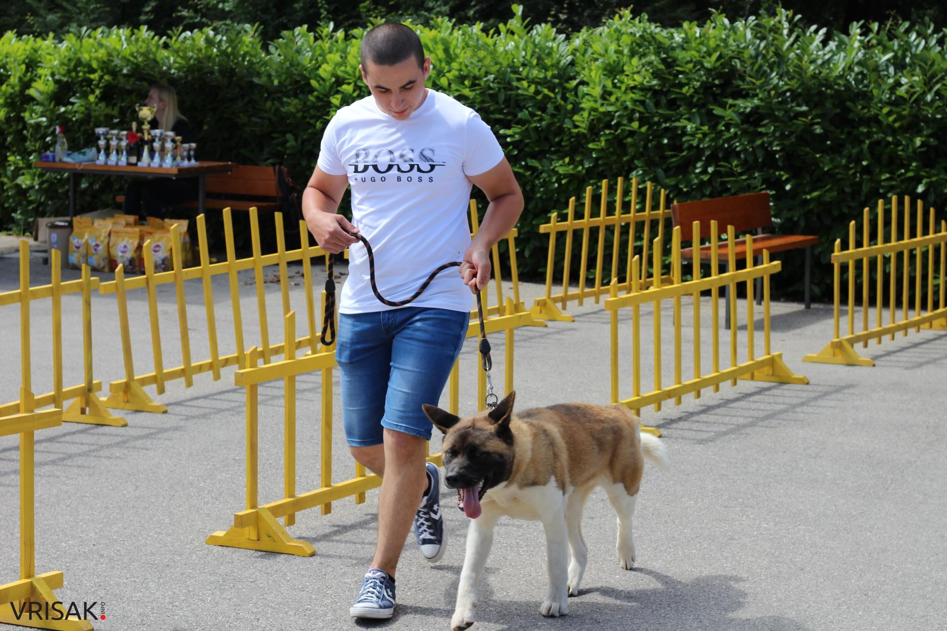 FOTO: Održana revija pasa u Širokom Brijegu