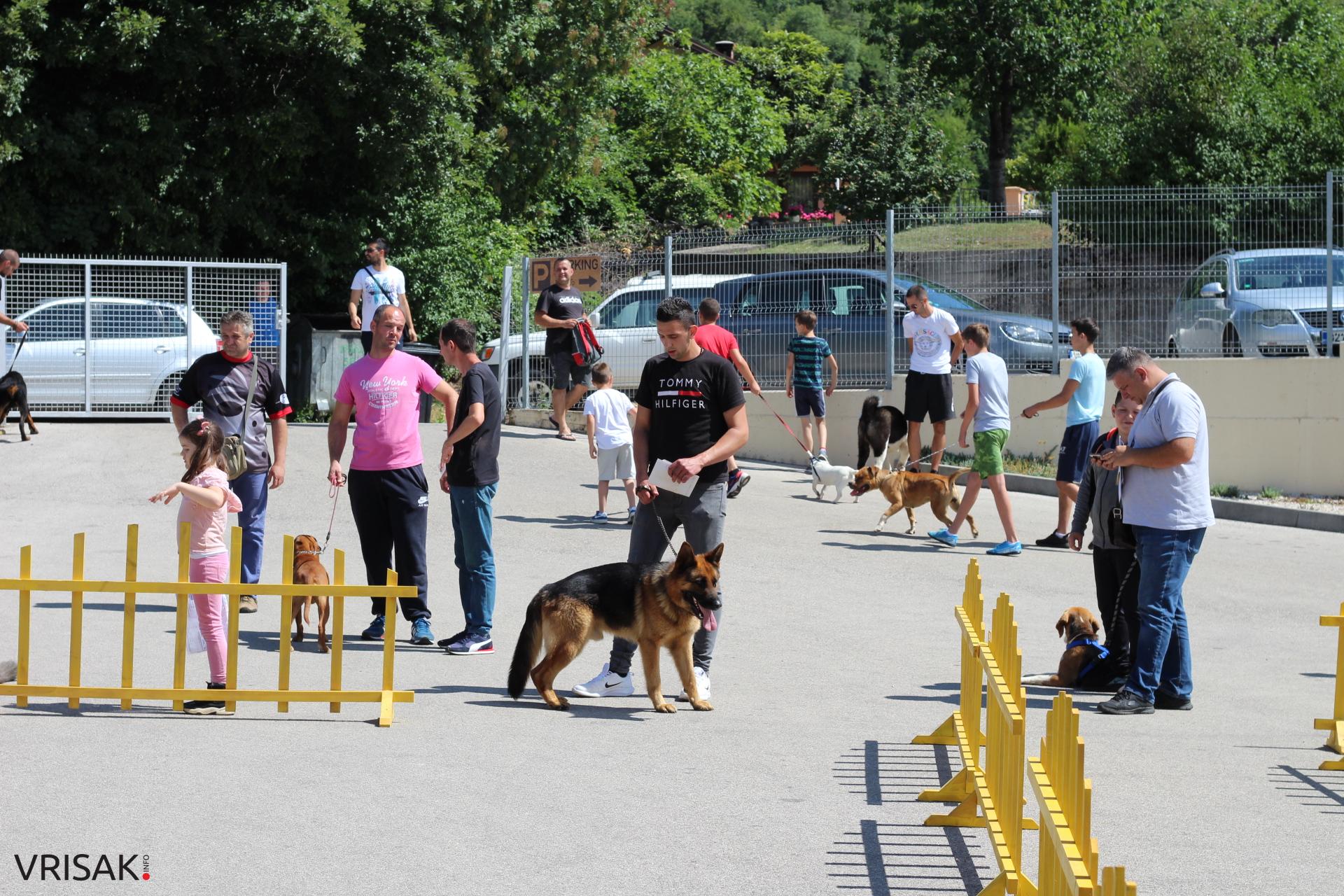 FOTO: Održana revija pasa u Širokom Brijegu