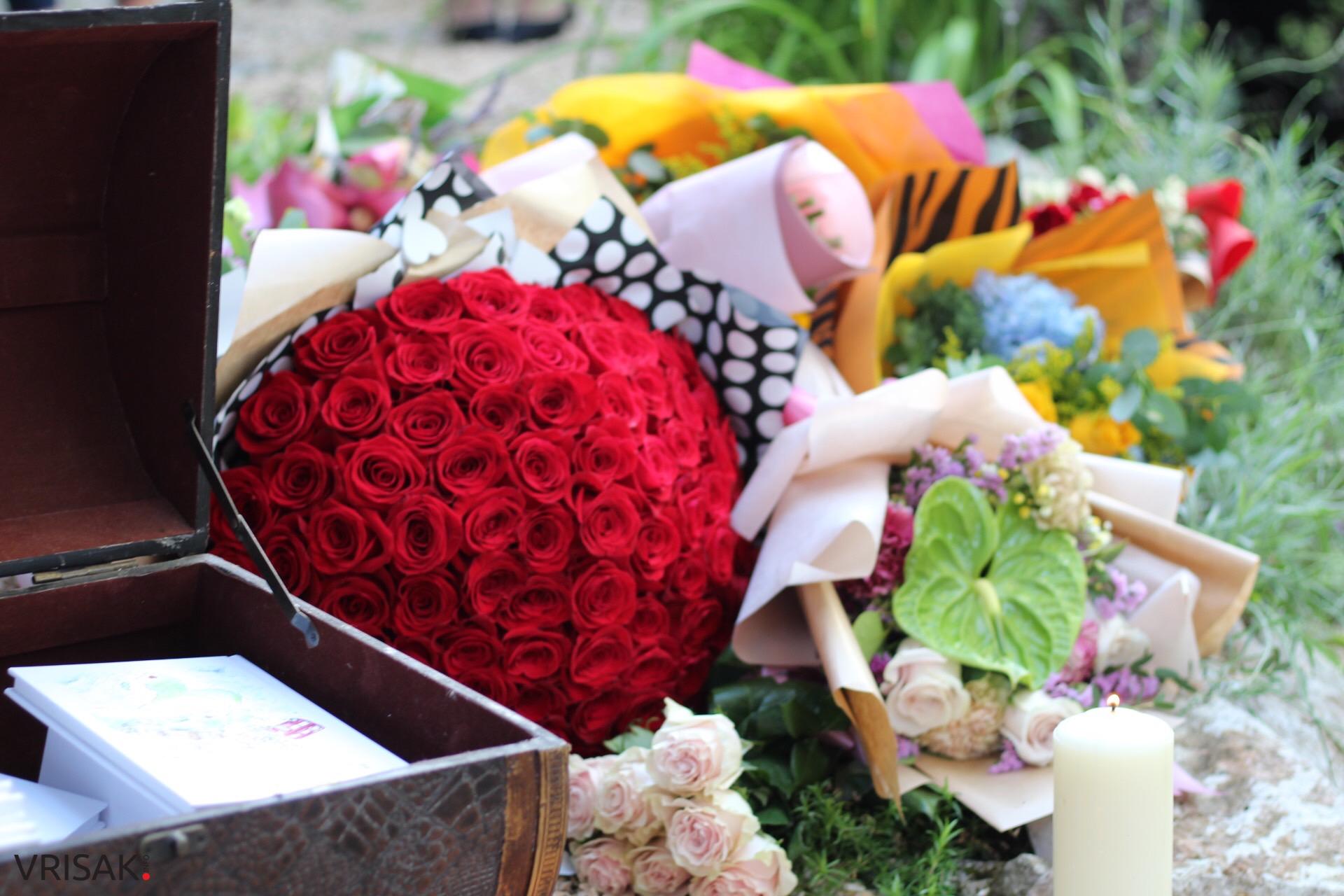 Maja Šantić u Širokom Brijegu predstavila svoju knjigu #braknadvakontinenta