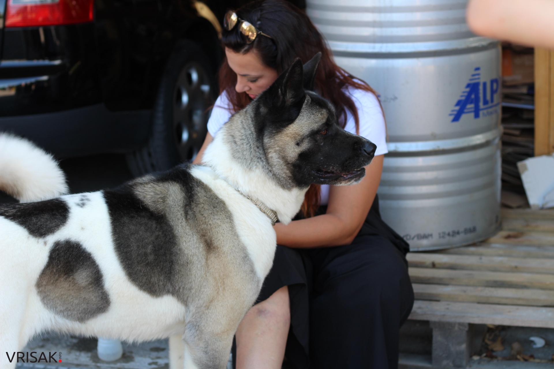 FOTO: Održana revija pasa u Širokom Brijegu