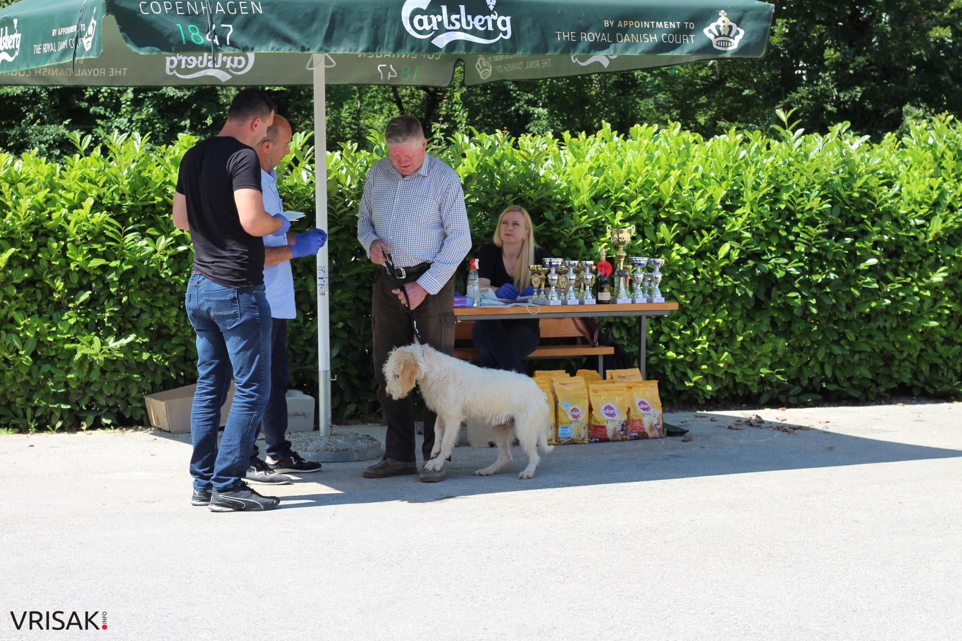 FOTO: Održana revija pasa u Širokom Brijegu
