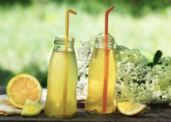 Recept za domaći sok od bazge (zove)